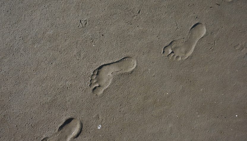 découvrez ce qu'est l'empreinte carbone, son impact sur l'environnement et comment réduire vos émissions pour un avenir durable. informez-vous sur les mesures nécessaires pour contribuer à la lutte contre le changement climatique et vivre de manière plus écologique.