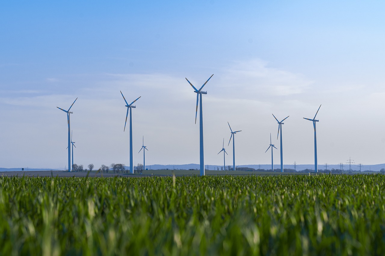 découvrez comment la durabilité transforme notre monde en favorisant des pratiques respectueuses de l'environnement, en réduisant notre empreinte carbone et en promouvant des modes de vie écoresponsables. rejoignez le mouvement vers un avenir plus vert et durable.