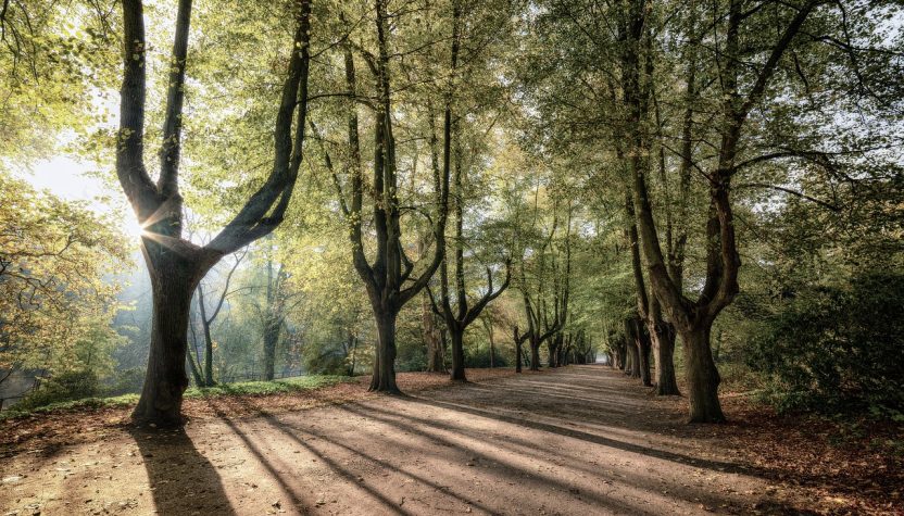 découvrez l'impact du changement climatique sur notre environnement avec 'climate shadow'. explorez les enjeux environnementaux, les conséquences sur la biodiversité et les solutions durables pour un avenir plus vert.