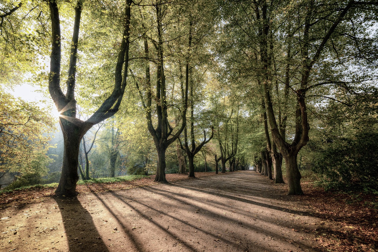 découvrez l'impact du changement climatique sur notre environnement avec 'climate shadow'. explorez les enjeux environnementaux, les conséquences sur la biodiversité et les solutions durables pour un avenir plus vert.