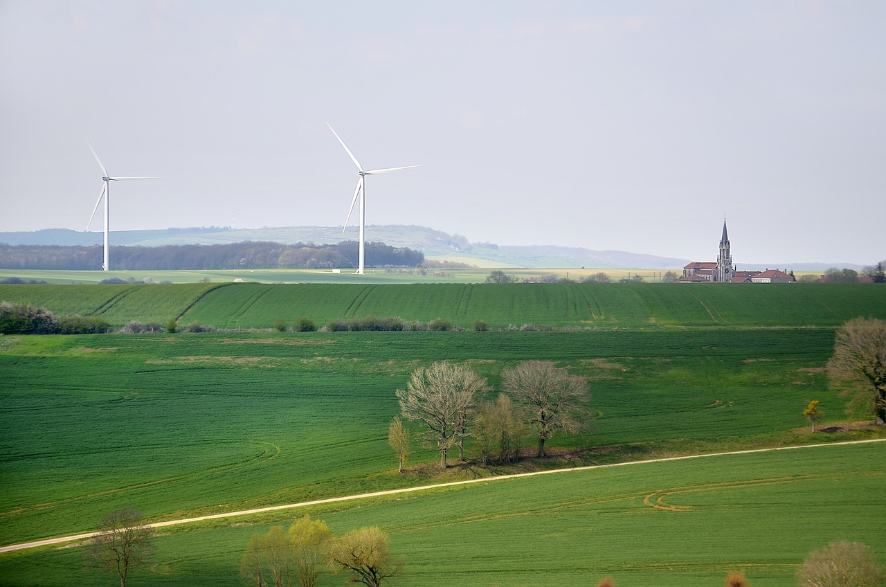 découvrez les principes du développement durable, une approche essentielle pour préserver notre planète tout en répondant aux besoins des générations présentes et futures. explorez les enjeux environnementaux, économiques et sociaux qui façonnent un avenir durable.