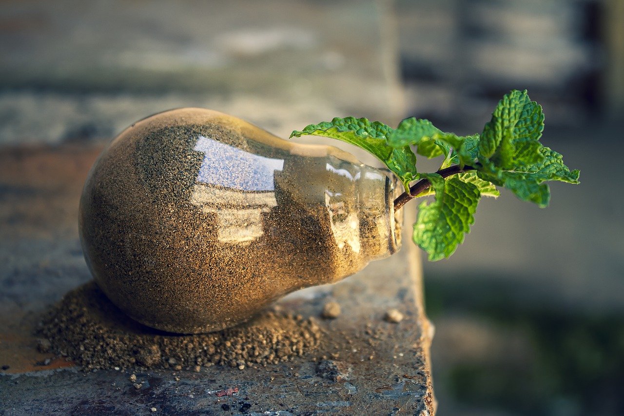 découvrez l'importance de la transparence environnementale pour un avenir durable. explorez comment les entreprises et les gouvernements peuvent rendre compte de leurs actions afin de protéger notre planète et d'encourager la responsabilité écologique.