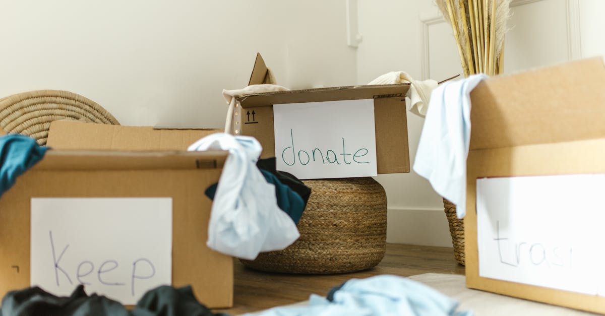 découvrez les principes du mode de vie durable, incluant des astuces pratiques et des conseils pour réduire votre empreinte écologique tout en préservant notre planète pour les générations futures.