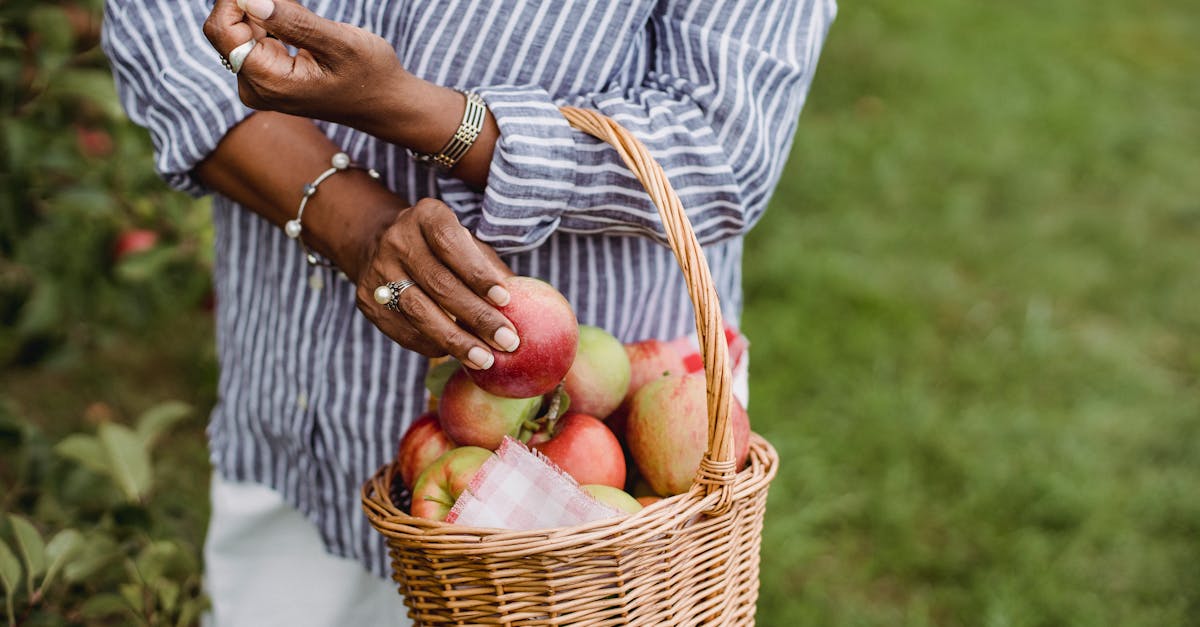 découvrez l'agroécologie, une approche durable de l'agriculture qui allie productivité et respect de l'environnement. apprenez comment cette méthode favorise la biodiversité, réduit l'usage des produits chimiques et soutient les économies locales.