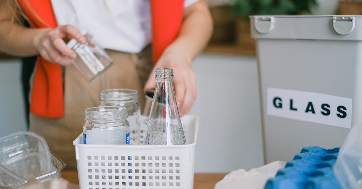 découvrez des pratiques durables pour un mode de vie respectueux de l'environnement. apprenez comment réduire votre empreinte écologique grâce à des astuces simples et des initiatives innovantes. agissons ensemble pour un avenir plus vert.