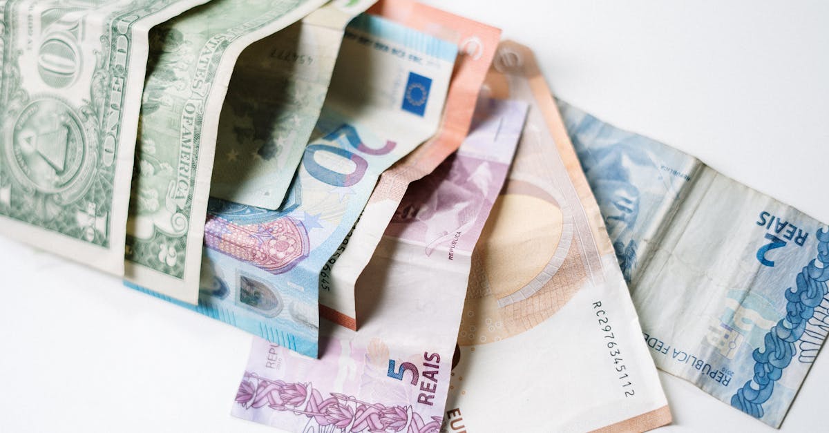 découvrez le financement vert, une solution innovante pour soutenir les projets durables et respectueux de l'environnement. explorez les opportunités d'investissement qui allient rentabilité et impact écologique positif.