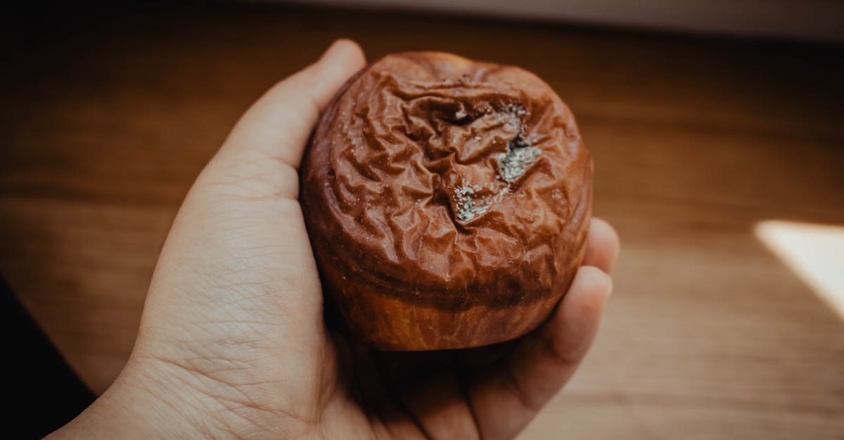 découvrez l'impact du gaspillage alimentaire et des solutions efficaces pour réduire vos déchets. apprenez des astuces pratiques et engagez-vous pour une consommation responsable et durable.