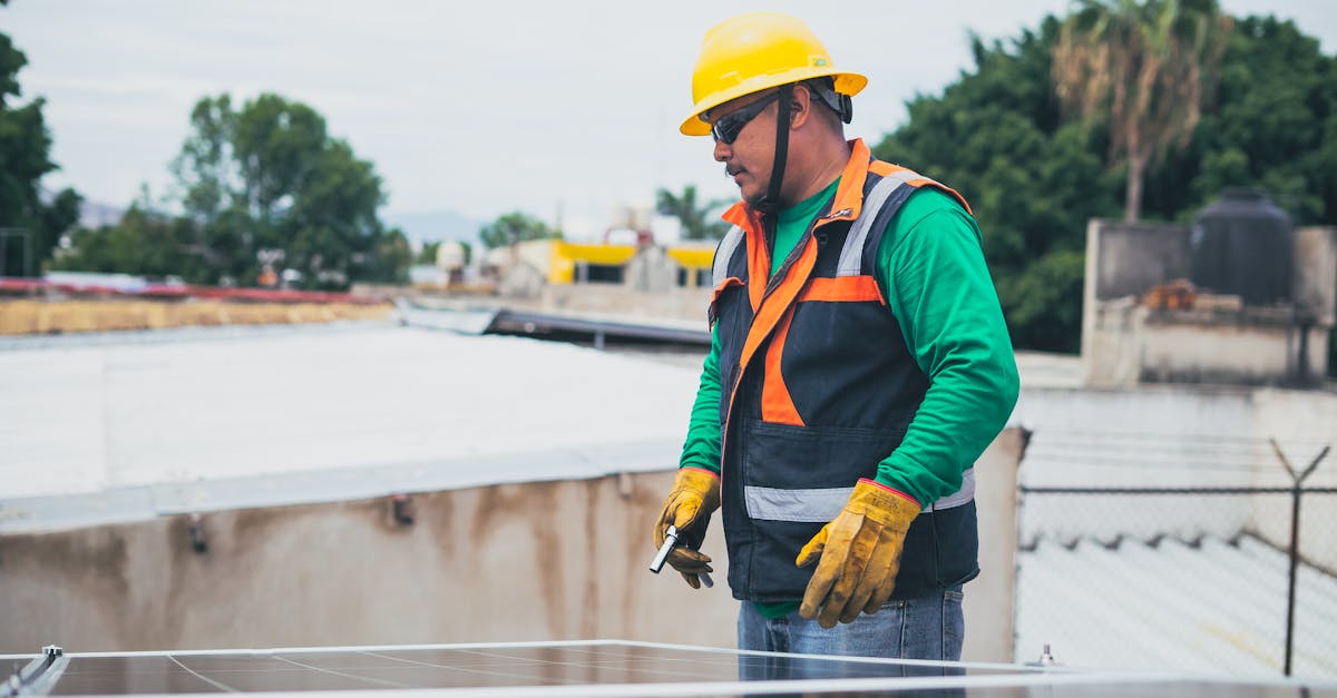 découvrez comment l'innovation durable transforme les entreprises en alliant performance économique et responsabilité environnementale, tout en ouvrant la voie vers un avenir plus vert.