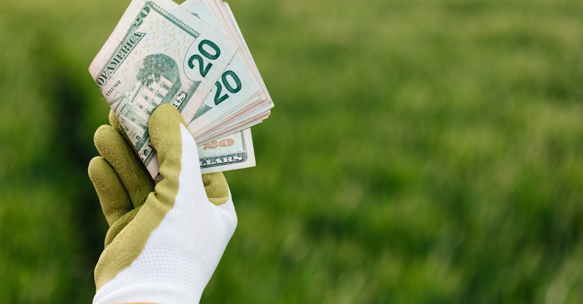 découvrez les opportunités d'investissement durable avec notre guide sur le green investment. apprenez à concilier rendement financier et respect de l'environnement tout en participant à la transition vers une économie verte.