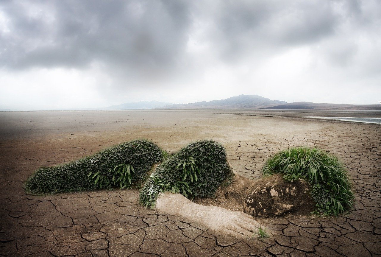 découvrez l'impact environnemental de nos actions quotidiennes, analysez les conséquences sur la biodiversité et apprenez des solutions durables pour réduire notre empreinte écologique.