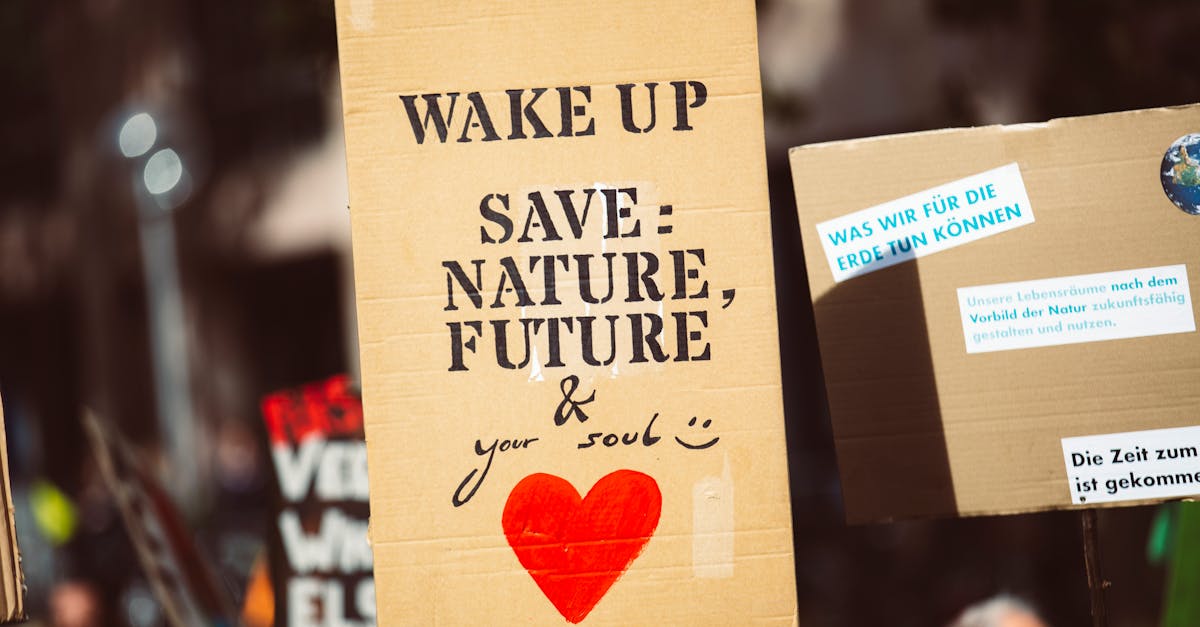 découvrez notre plan d'action environnemental, conçu pour promouvoir la durabilité et réduire notre empreinte écologique. engagez-vous avec nous pour un avenir plus vert et responsable.