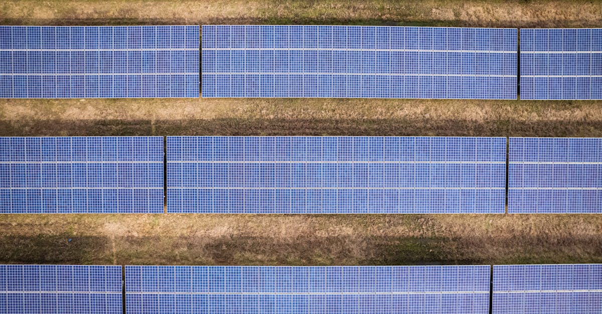 découvrez les enjeux et les pratiques du développement durable, une approche essentielle pour préserver notre planète et assurer un avenir meilleur pour les générations à venir. apprenez comment intégrer des solutions écologiques et responsables dans votre quotidien.