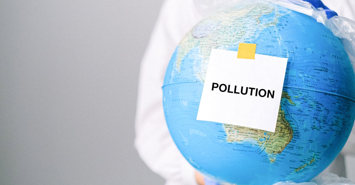 découvrez les pratiques durables qui transforment notre façon de vivre et de travailler. apprenez comment adopter des solutions respectueuses de l'environnement pour un avenir plus vert et responsable.
