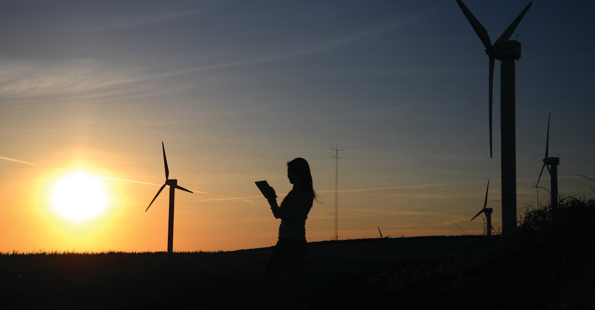 découvrez l'importance de la durabilité pour l'avenir de notre planète. explorez des pratiques écologiques, des innovations vertes et des stratégies durables qui contribuent à la protection de l'environnement et au bien-être des générations futures.