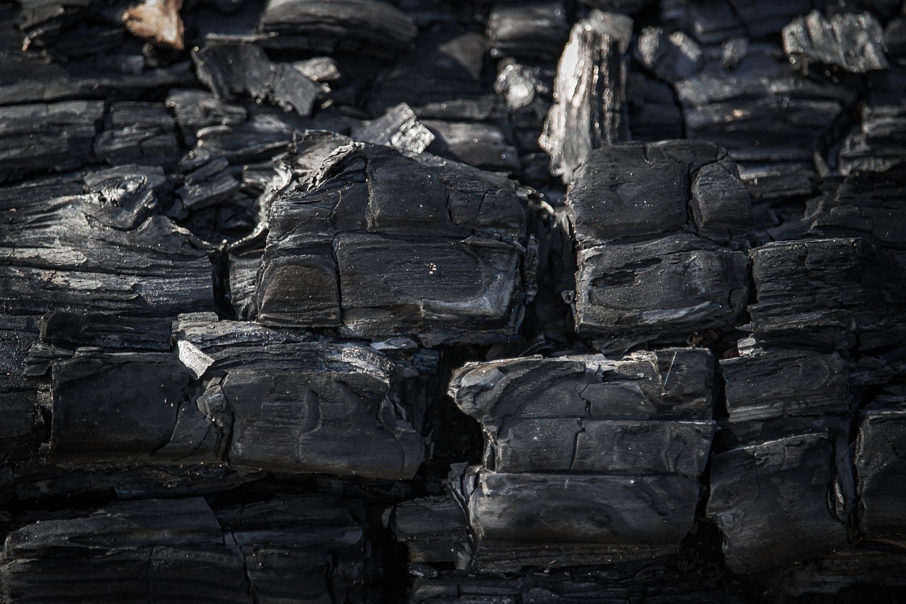 découvrez les principes de la comptabilité carbone et son importance cruciale pour la durabilité environnementale. comprenez comment mesurer, réduire et gérer votre empreinte carbone afin de contribuer à un avenir plus vert.