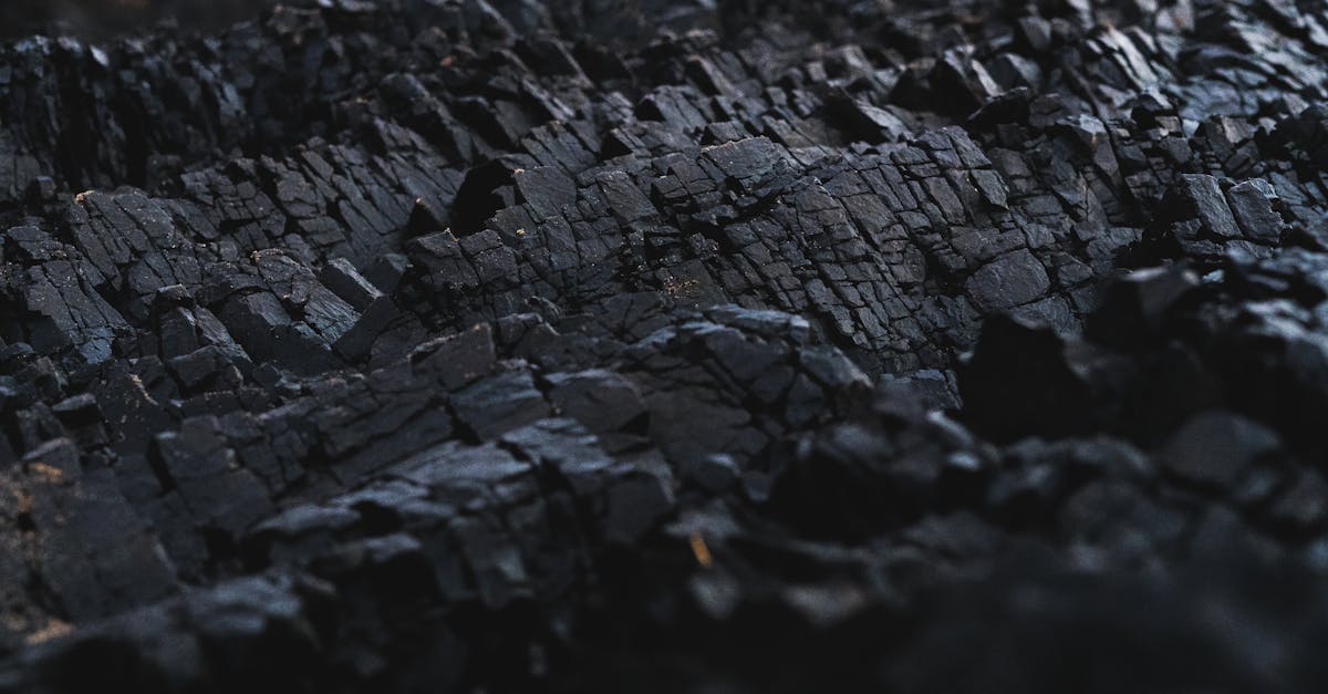 découvrez comment atteindre la neutralité carbone, un objectif essentiel pour lutter contre le changement climatique. explorez des stratégies durables et innovantes pour réduire votre empreinte carbone et contribuer à un avenir écologique.
