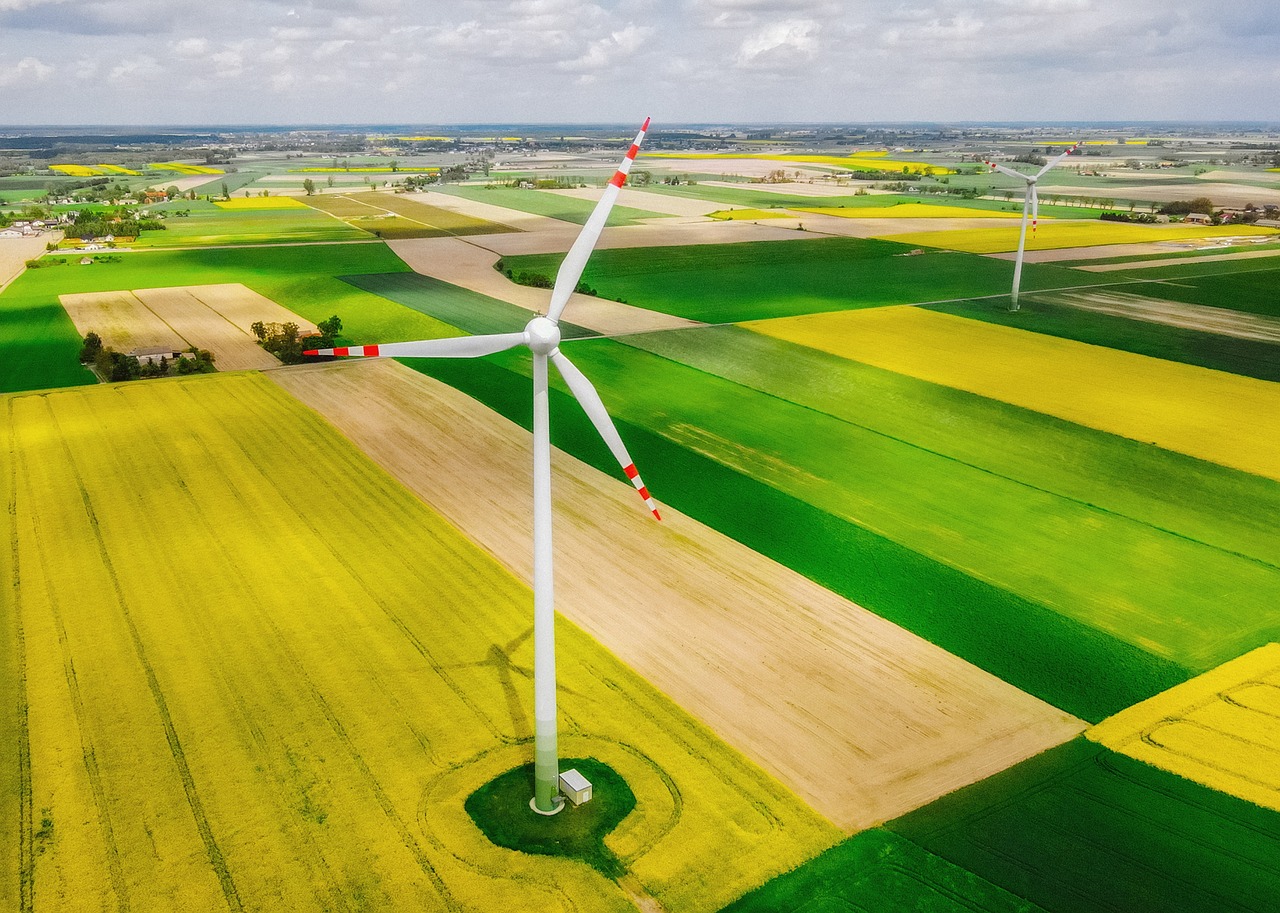 découvrez l'écologie, une science essentielle qui étudie les interactions entre les êtres vivants et leur environnement. apprenez comment préserver notre planète, promouvoir la biodiversité et adopter des pratiques durables pour un avenir meilleur.