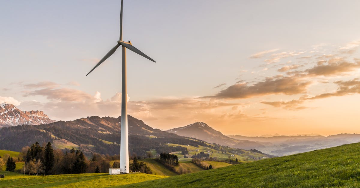 découvrez l'importance de la durabilité pour un avenir meilleur. explorez des stratégies et des pratiques écoresponsables qui favorisent la protection de notre planète et le bien-être des générations futures.