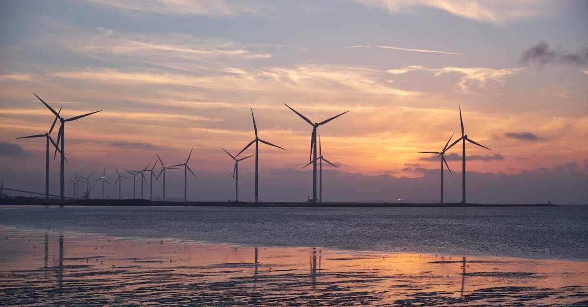 découvrez des solutions innovantes et des pratiques écologiques pour promouvoir la durabilité. explorez comment adopter un mode de vie responsable peut protéger notre planète pour les générations futures.