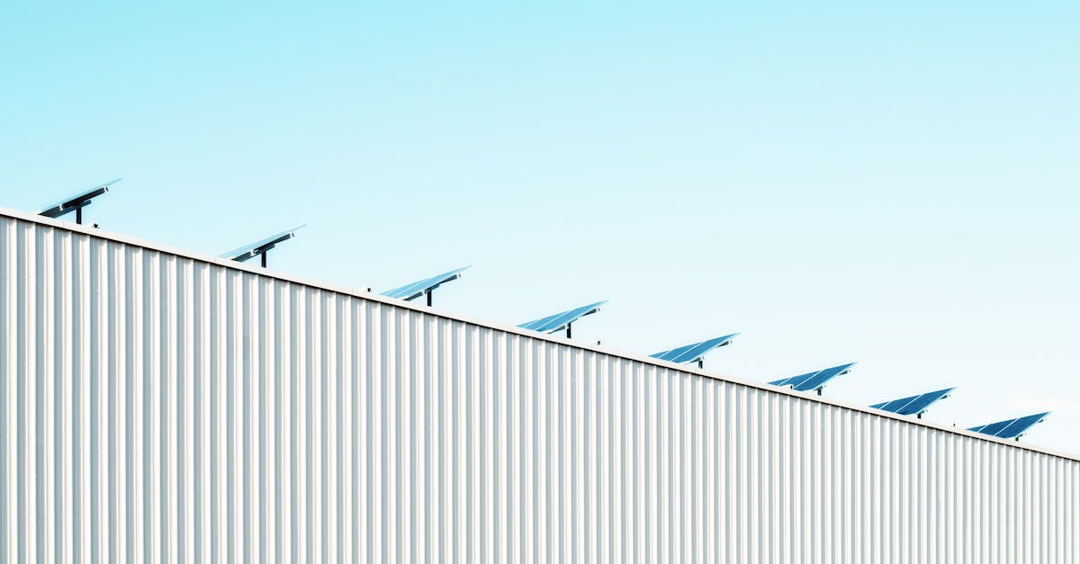 découvrez les enjeux et les pratiques de la durabilité. explorez des solutions innovantes pour un avenir respectueux de l'environnement, des communautés et de l'économie.