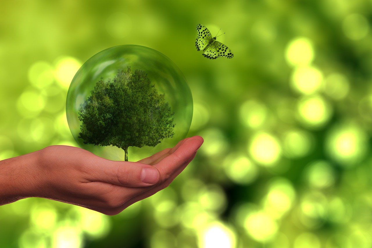 découvrez l'importance de la durabilité dans notre société moderne. explorez des solutions innovantes et des pratiques écoresponsables qui favorisent un avenir durable pour notre planète. engagez-vous dès aujourd'hui pour un monde meilleur!