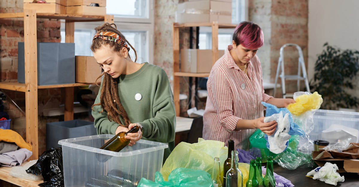 découvrez comment une communauté durable favorise la coexistence harmonieuse entre l'homme et la nature, en mettant en avant des initiatives écologiques, des projets solidaires et des pratiques de vie respectueuses de l'environnement.