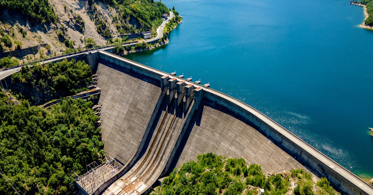 découvrez les enjeux et les stratégies du développement durable, une approche essentielle pour préserver notre planète et garantir un avenir responsable et équitable pour les générations futures.