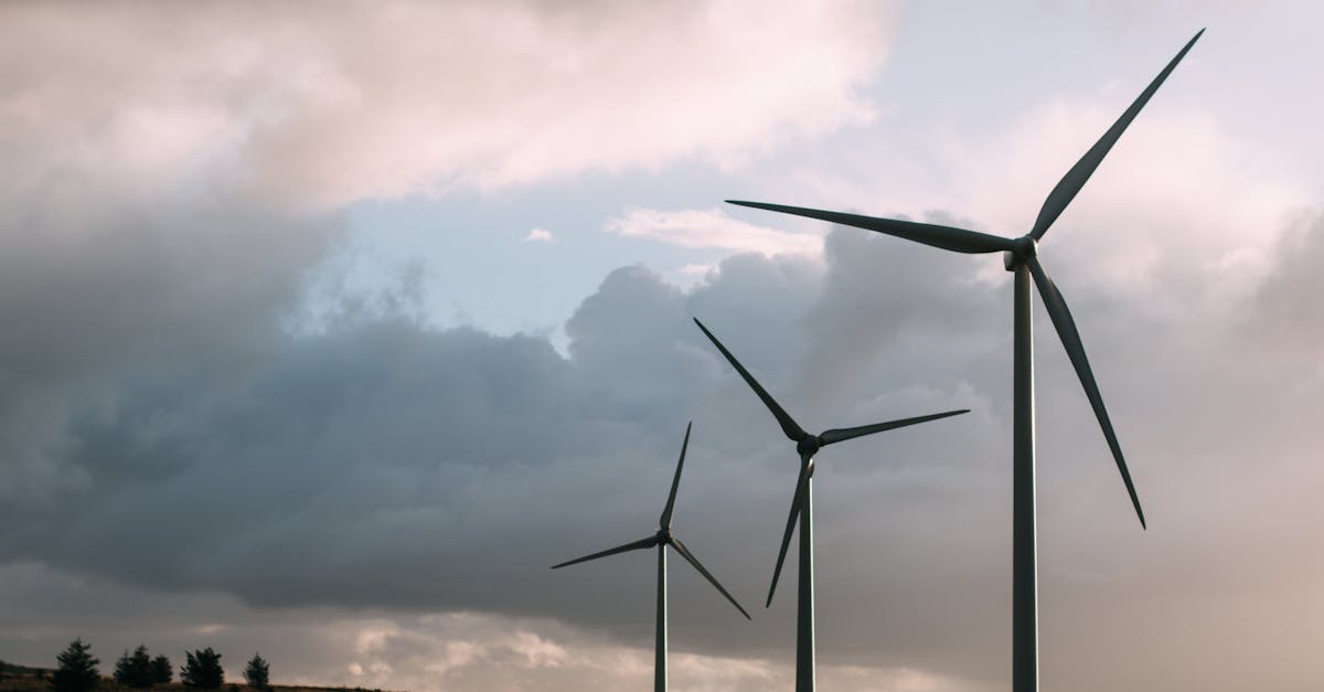découvrez comment le développement durable peut transformer notre avenir en préservant l'environnement, en favorisant la justice sociale et en stimulant la croissance économique. engagez-vous pour un monde plus équilibré et respectueux des générations futures.
