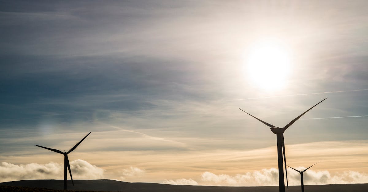 découvrez comment l'innovation durable transforme notre avenir. explorez des solutions écologiques, des technologies vertes et des pratiques responsables qui favorisent un développement durable tout en stimulant la créativité et la croissance économique.