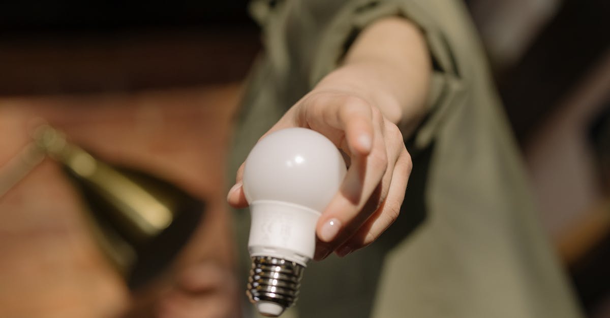découvrez comment l'innovation durable transforme les industries en alliant efficacité économique et responsabilité environnementale. explorez les dernières tendances et solutions pour un avenir plus vert.