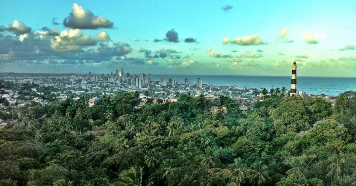 découvrez l'urbanisme durable, une approche innovante qui vise à repenser nos villes pour les rendre plus écologiques, inclusives et résilientes. explorez des solutions pour un développement urbain harmonieux, alliant respect de l'environnement et qualité de vie.