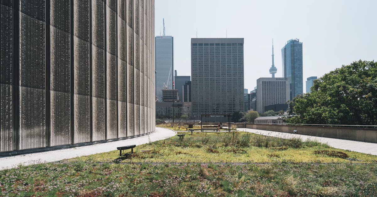découvrez l'écologie urbaine, une discipline qui explore les interactions entre les organismes vivants et leur environnement urbain. apprenez comment les villes peuvent devenir plus durables et accueillantes pour la biodiversité tout en améliorant la qualité de vie de leurs habitants.
