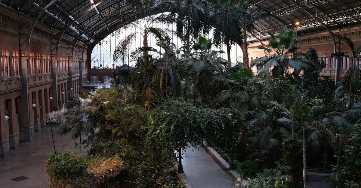 découvrez comment la biodiversité et les écosystèmes interagissent dans les environnements urbains. explorez les enjeux de l'écologie urbaine pour créer des villes durables et vivables, favorisant l'harmonie entre nature et urbanisation.